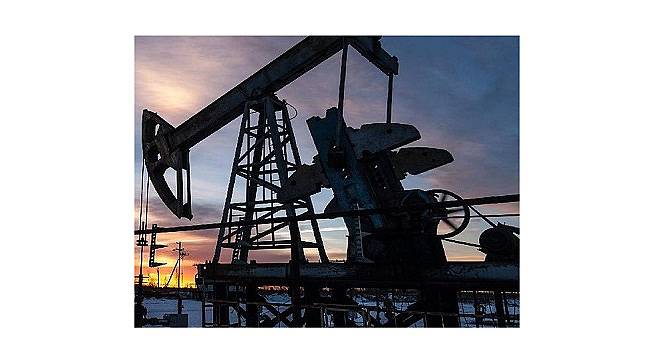 PETFORM: Enerji Çalışanları...