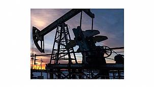 PETFORM: Enerji Çalışanları...