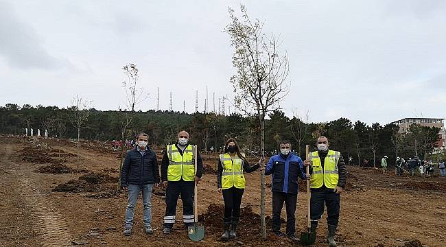 SEDAŞ: 500 fidanı toprakla buluşturdu