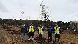 SEDAŞ: 500 fidanı toprakla buluşturdu