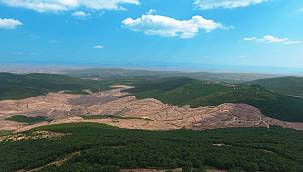 TEMA Vakfı: TBMM Başkanlığına sunulan ‘Elektrik Piyasası Kanunu ile...