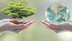 AYGAZ: İlk Sıfır Atık Belgemizi...