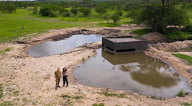 Bir damla yağmur ile değişen doğal yaşam hikayesi: Su Birikintisi