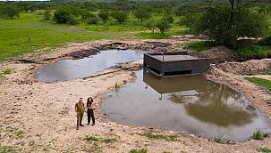 Bir damla yağmur ile değişen doğal yaşam hikayesi: Su Birikintisi