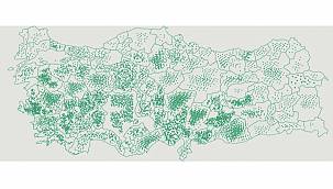 Enerji Bakanlığı: Gece uzun olsa da...