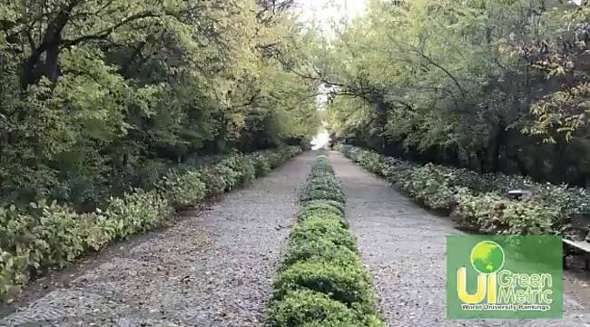 İTÜ: Türkiye’nin ‘en yeşil’ kampüsüyüz