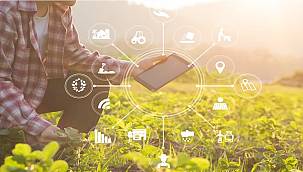 Sürdürülebilir Kalkınma Amaçları Etki Hızlandırıcısı İkinci Küresel Çağrısını başlattı