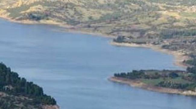 TEMA Vakfı: Altın mı - Su mu?