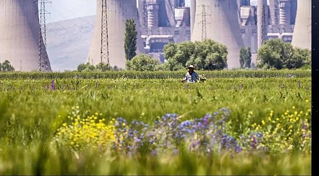 Rosatom: Türk Fotoğrafçılar - Ase Photo Awards-2020 Uluslararası Fotoğraf Yarışması&#039;nda Ödüle Layık Görüldü