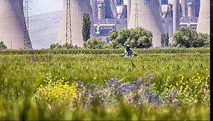 Rosatom: Türk Fotoğrafçılar - Ase Photo Awards-2020 Uluslararası Fotoğraf Yarışması'nda Ödüle Layık Görüldü