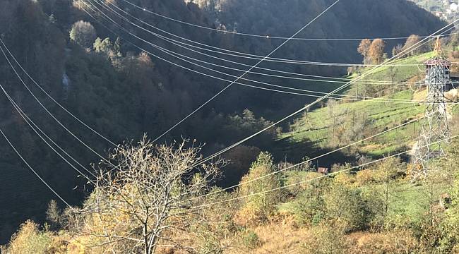 Türkiye&#039;de elektrik üreten santral sayısını biliyor musmuz?