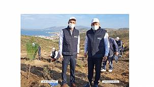 Limak Enerji: Balıkesir'in Avşa Adası'nda 1000 fidanlık orman ...