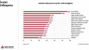 Merkez Bankası - 'Enflasyon Raporu 2021-I!