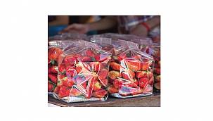 Sabancı Üniversitesi: Nano - Kil Katkılı Ambalaj Üretti