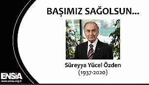 'Türk enerji sektörü ...'