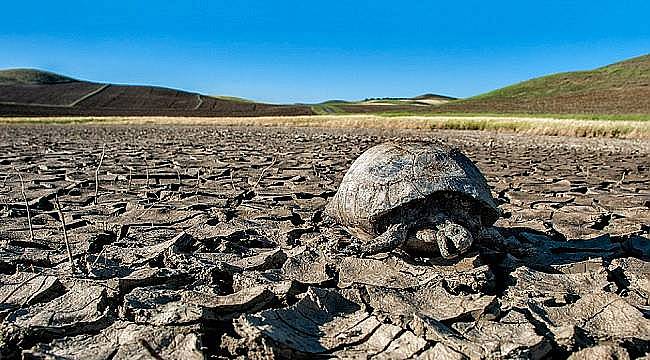 Türkiye İklim Değişikliği ile Mücadelede Yeşil Ekonomiye Geçiş için...