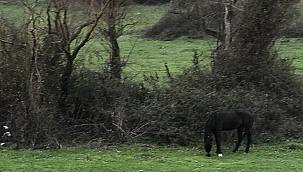 'Yağmur bombası' gibi bilim dışı söylemlere izin verilmemeli – Afet Uzmanı Prof. Dr Kadıoğlu …