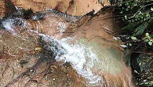 Aksa Doğalgaz: Baharın Müjdecisi...