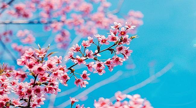 Aksa Doğalgaz: Havaya düştüyse...