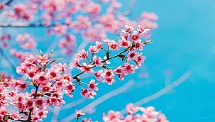 Aksa Doğalgaz: Havaya düştüyse...