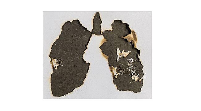 ENERJİ DÜNYASI - 9 Şubat Dünya Sigarayı Bırakma Günü