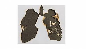 ENERJİ DÜNYASI - 9 Şubat Dünya Sigarayı Bırakma Günü