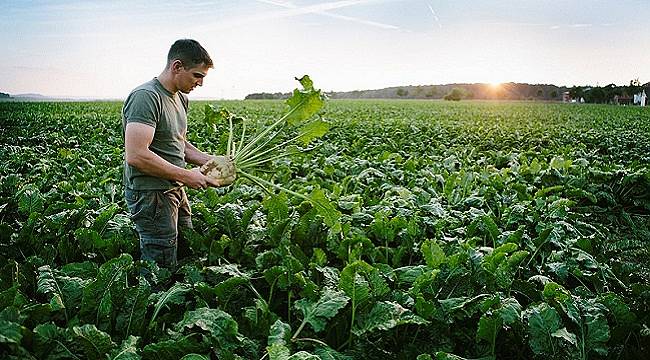 Çevresel Sorunlarla ilgili endişe gıdada satın alma alışkanlıklarını etkiliyor