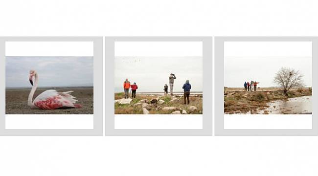 Doğa Derneği - &#039;2 Şubat Dünya Sulak Alanlar Günü&#039;