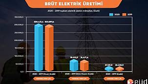 Elektrik Üretim Raporu - 2020