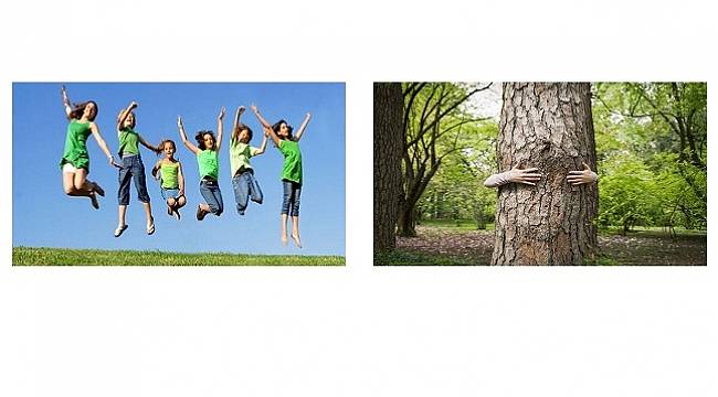 Enerji Çalışanları: Mutlaka zıplayın - Ağaca sarılın... NİYE Mİ?