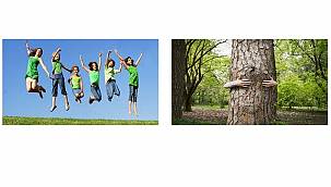 Enerji Çalışanları: Mutlaka zıplayın - Ağaca sarılın... NİYE Mİ?