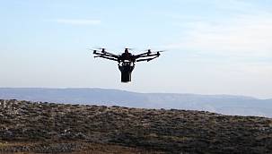 GoGreen İklim Nötr - 50 bin tohum ağaç olacak... VİDEOLU!