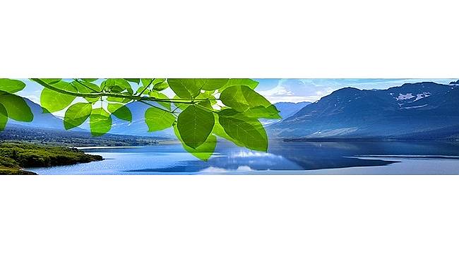 IBM: 2030 yılına kadar sera gazı emisyonunu sıfıra indirecek