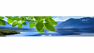 IBM: 2030 yılına kadar sera gazı emisyonunu sıfıra indirecek