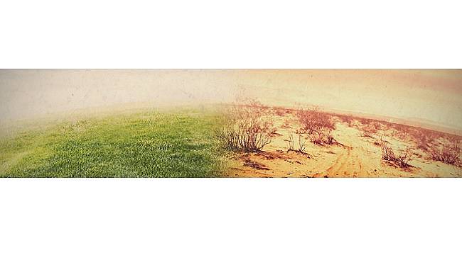 &#039;İklim Değişikliğiyle Mücadele Bildirgesi&#039; yayınlandı!