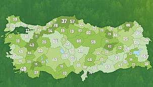 İl il kişi başı düşen ORMAN alanı!
