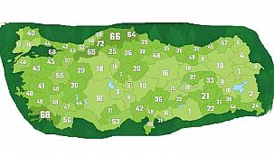 Şehrinizin yüzde kaçı orman? - YENİ!