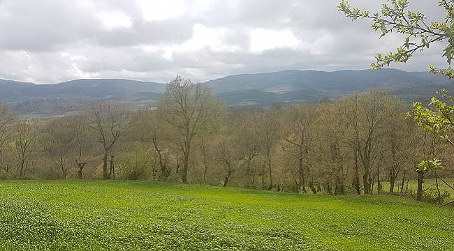 TEMA Vakfı: Danıştay onadı - Çanakkale Çırpılar Köyü’ne kömürlü termik santral...