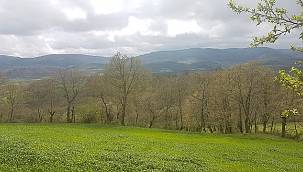 TEMA Vakfı: Danıştay onadı - Çanakkale Çırpılar Köyü’ne kömürlü termik santral...