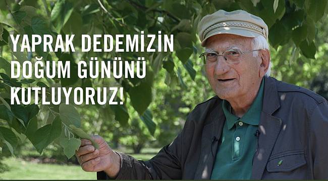 TEMA Vakfı: Yaprak Dedemiz...