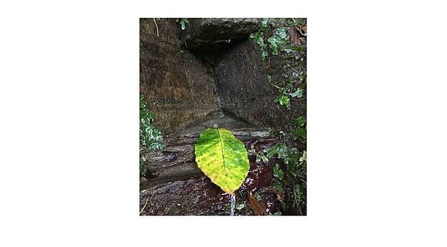 Happy World Water Day