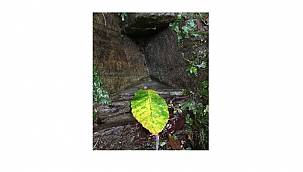 22 Mart Dünya Su Günü - Su Zengini ne demek? Su Fakiri ne demek?