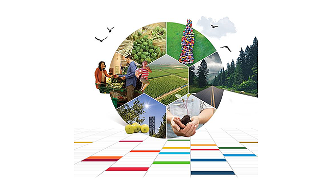 Anadolu Grubu ve Bahçeşehir Üniversitesi’nden  Sürdürülebilir Kalkınma Amaçları Sertifika Programı