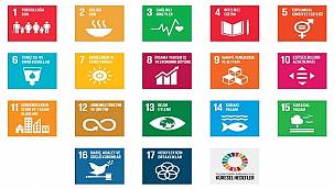 'Bize startup'ını söyle - Sana desteğini verelim' - Mercedes - Benz Ototomtiv...