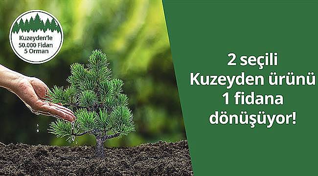 Kuzeyden 50 bin fidan ile 5 orman oluşturuyor