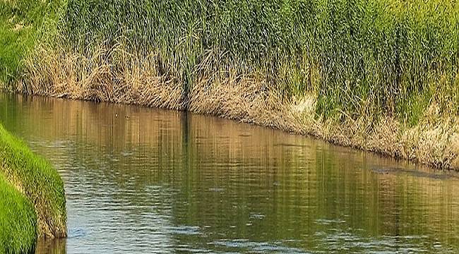Marmara Havzası &#039;Su Kıtlığı&#039; yaşıyor: Dünya Su Günü - TEMA Vakfı...