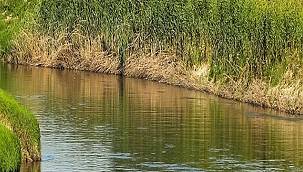 Marmara Havzası 'Su Kıtlığı' yaşıyor: Dünya Su Günü - TEMA Vakfı...