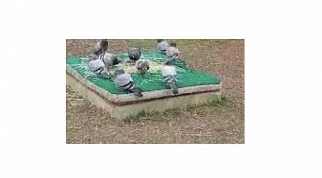 Mart kapıdan baktıracak gibi: Daha az elektrik ve doğal gaz faturası ödemek için...