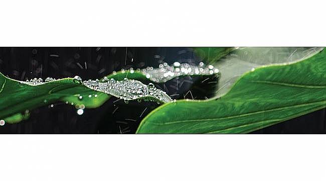 Meteoroloji Sözlüğü&#039;nü biliyor musunuz?