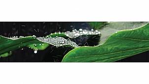 Meteoroloji Sözlüğü'nü biliyor musunuz?